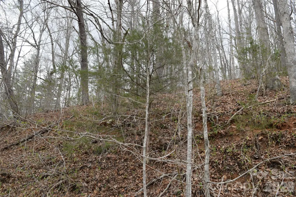 TBD Bel Air Road #18-19, 21, 23,27-28,31-33 Cullowhee, NC 28723