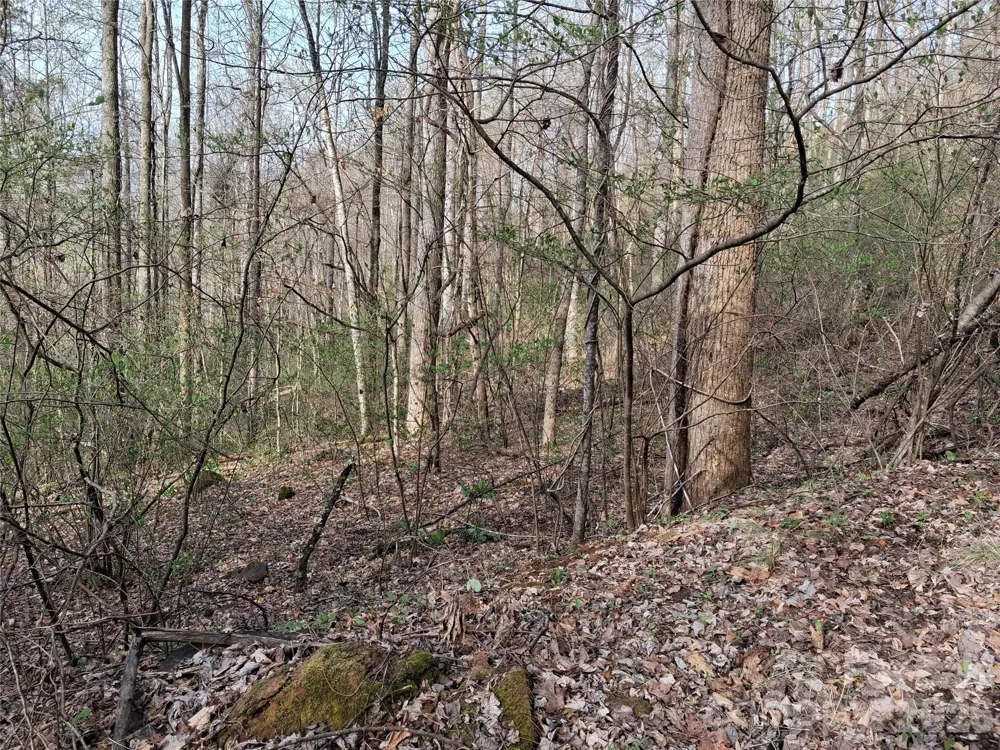 TBD Bel Air Road #18-19, 21, 23,27-28,31-33 Cullowhee, NC 28723