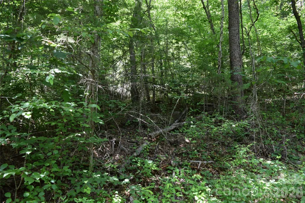 TBD Bel Air Road #18-19, 21, 23,27-28,31-33 Cullowhee, NC 28723