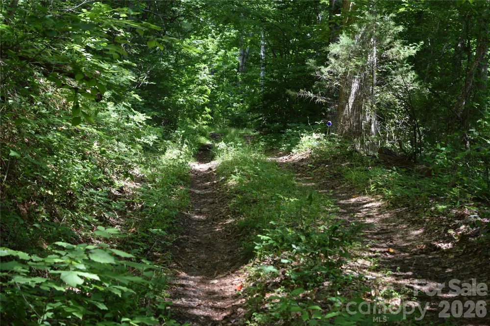 TBD Bel Air Road #18-19, 21, 23,27-28,31-33 Cullowhee, NC 28723