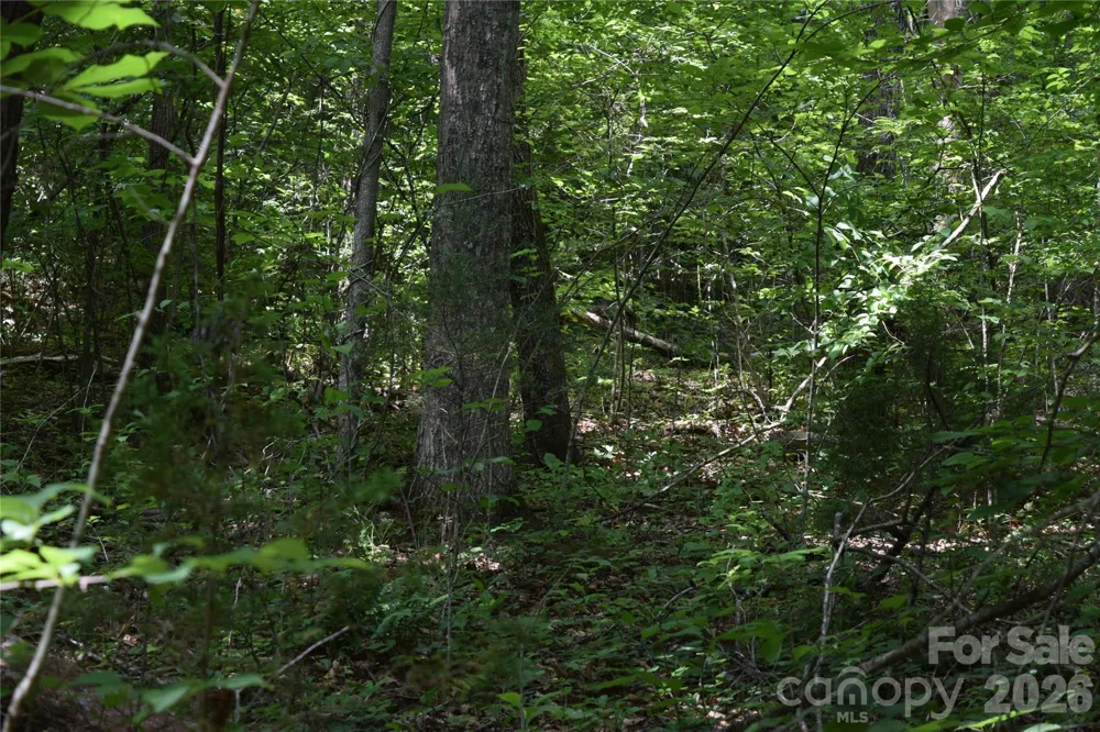 TBD Bel Air Road #18-19, 21, 23,27-28,31-33 Cullowhee, NC 28723