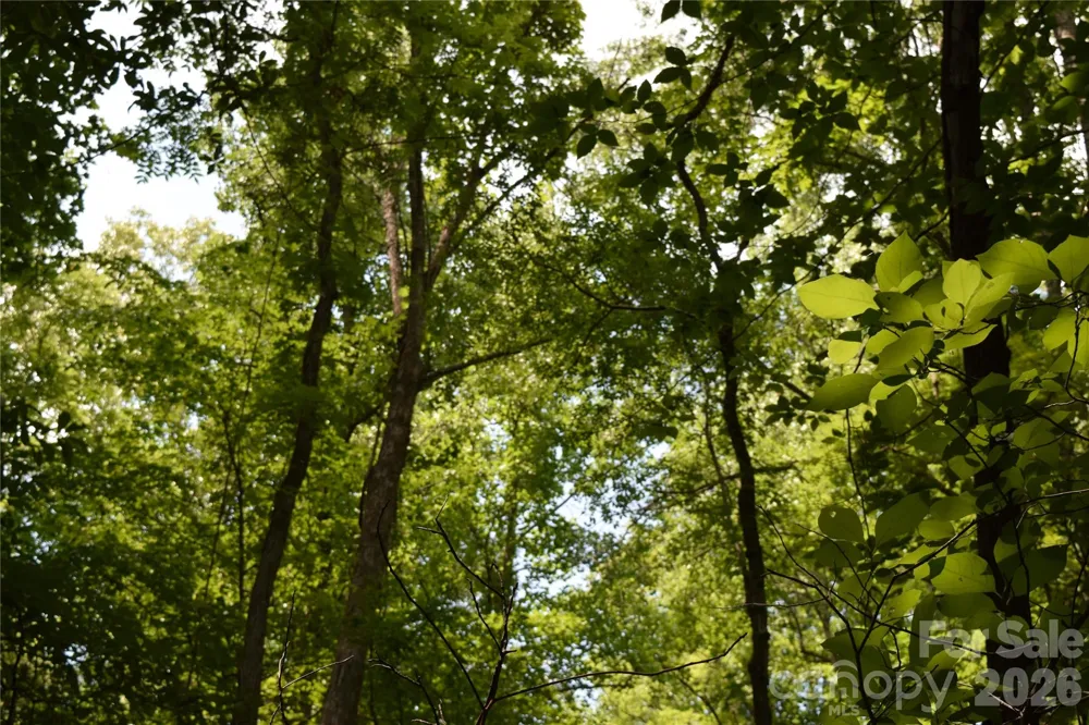 TBD Bel Air Road #18-19, 21, 23,27-28,31-33 Cullowhee, NC 28723