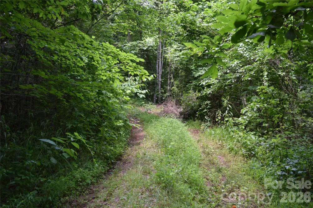 TBD Bel Air Road #18-19, 21, 23,27-28,31-33 Cullowhee, NC 28723