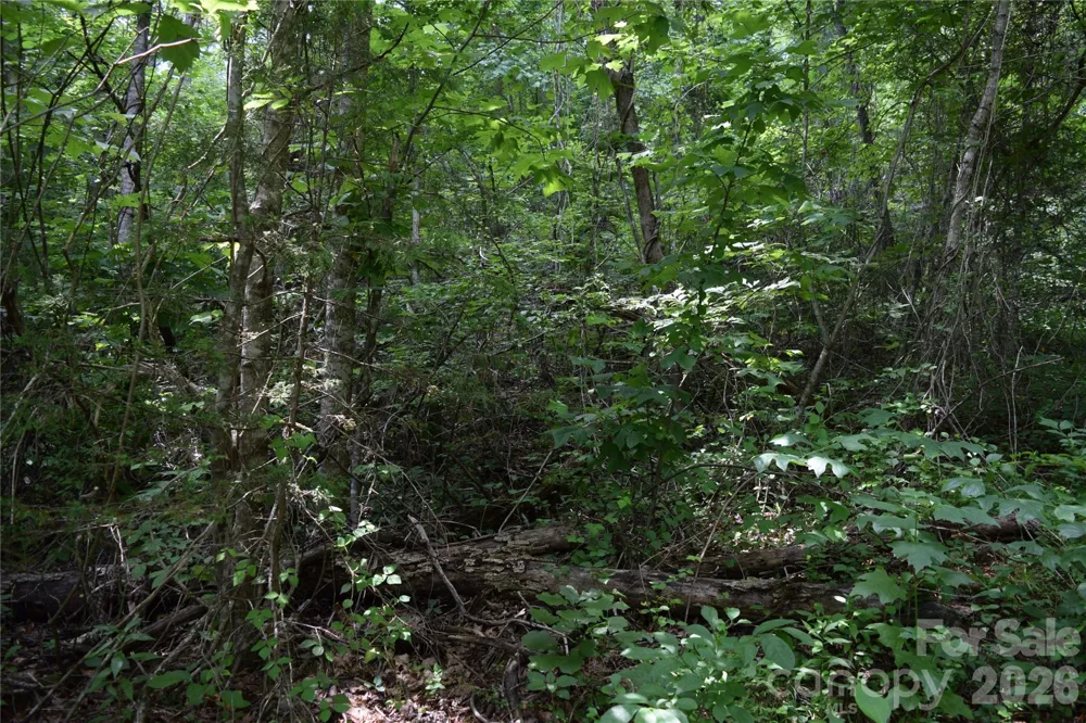 TBD Bel Air Road #18-19, 21, 23,27-28,31-33 Cullowhee, NC 28723