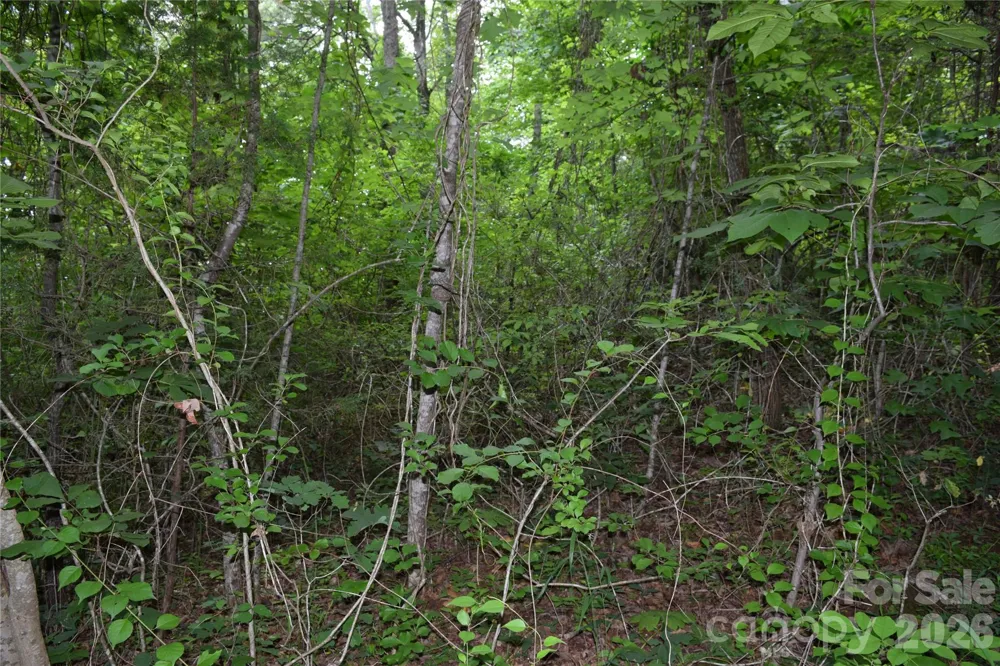 TBD Bel Air Road #18-19, 21, 23,27-28,31-33 Cullowhee, NC 28723
