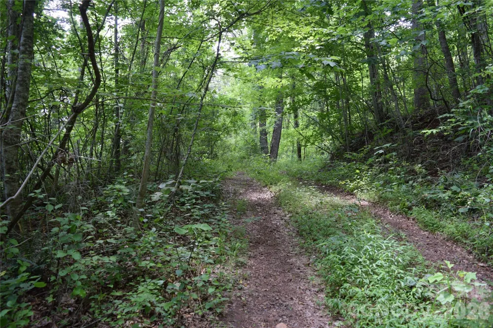 TBD Bel Air Road #18-19, 21, 23,27-28,31-33 Cullowhee, NC 28723