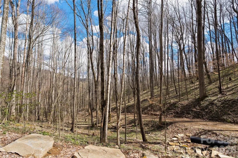 23 Forbidden Cove Waynesville, NC 28785