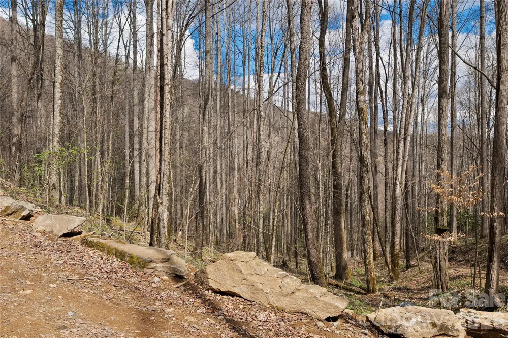 23 Forbidden Cove Waynesville, NC 28785
