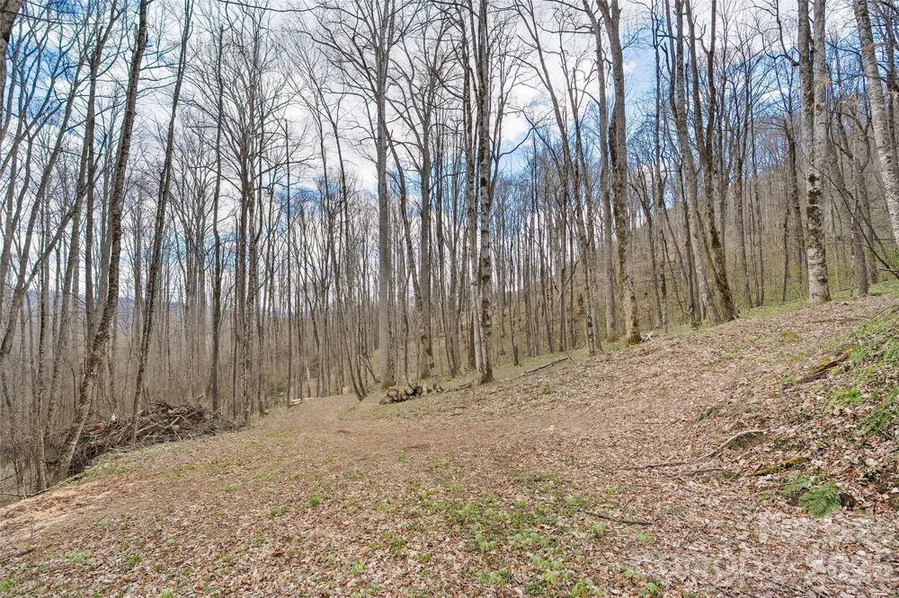 23 Forbidden Cove Waynesville, NC 28785