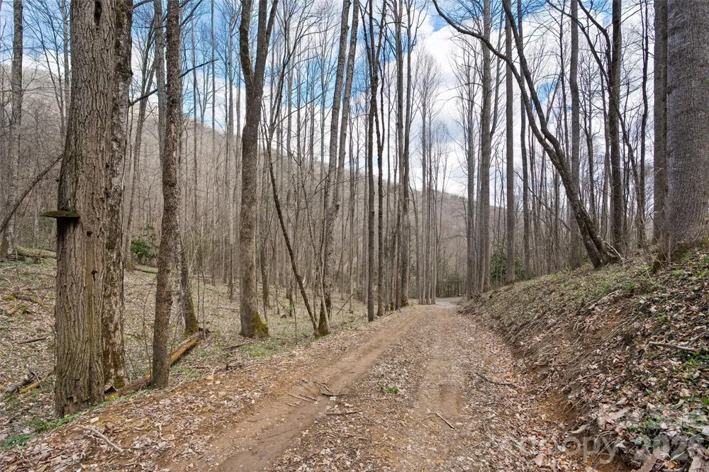 23 Forbidden Cove Waynesville, NC 28785