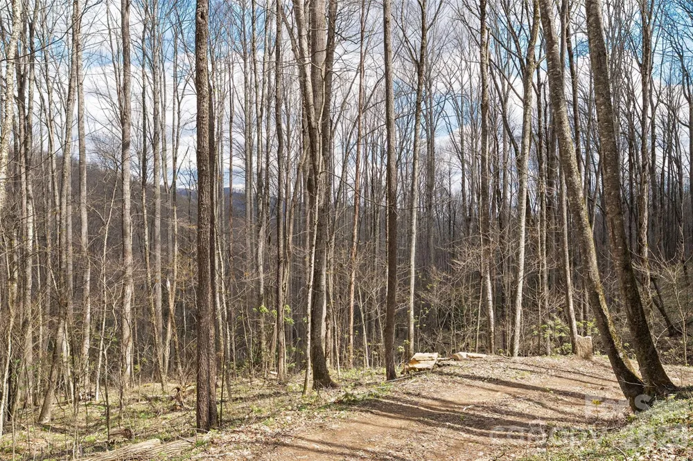 23 Forbidden Cove Waynesville, NC 28785