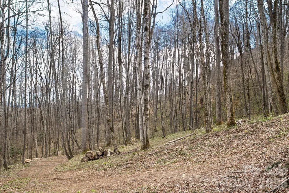 23 Forbidden Cove Waynesville, NC 28785