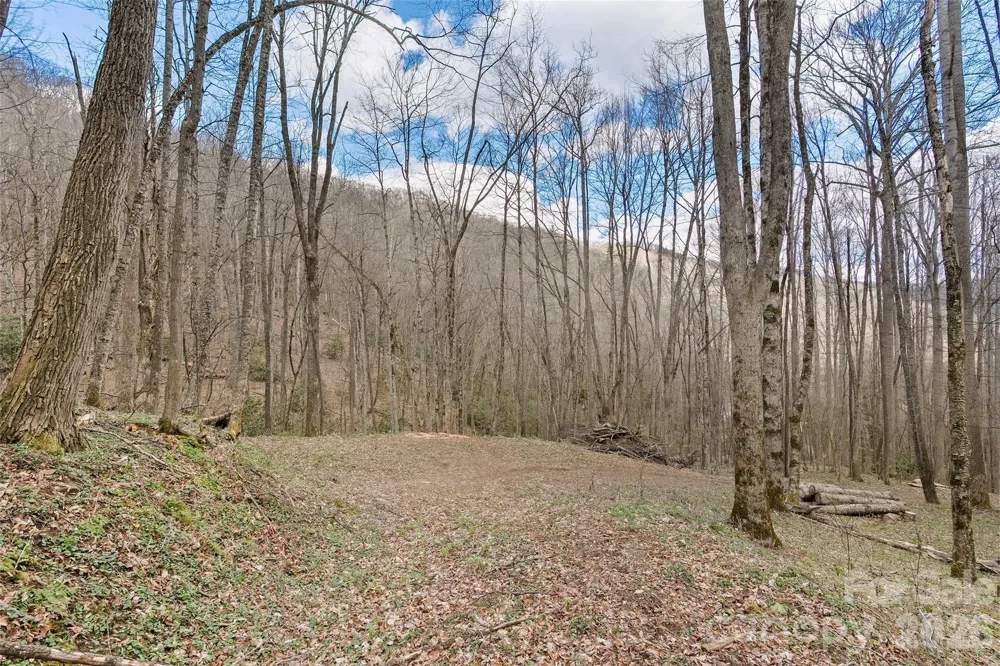 23 Forbidden Cove Waynesville, NC 28785