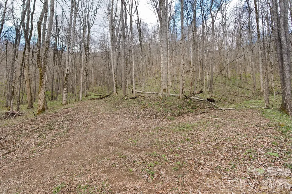 23 Forbidden Cove Waynesville, NC 28785