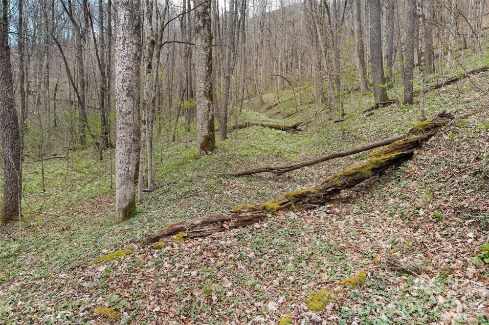 23 Forbidden Cove Waynesville, NC 28785