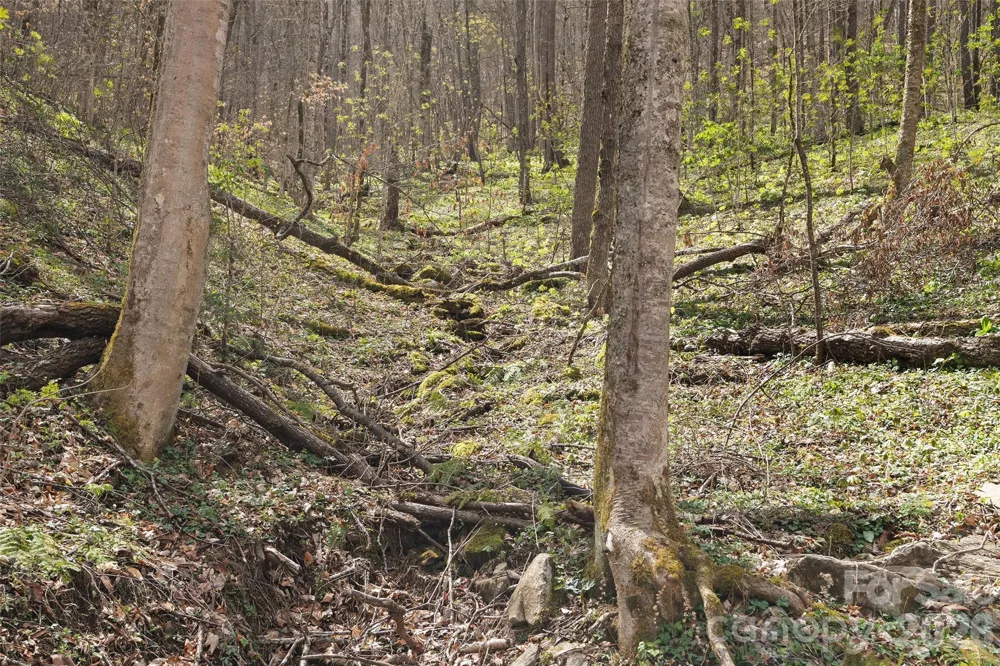 23 Forbidden Cove Waynesville, NC 28785