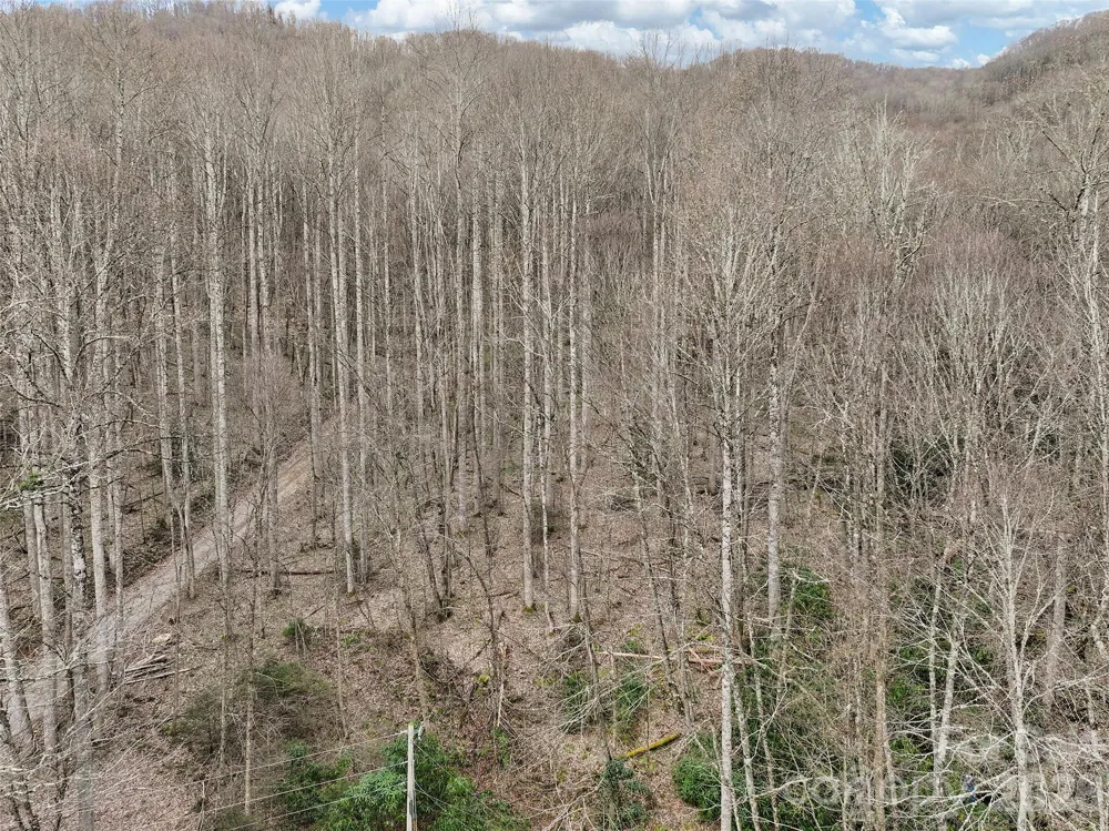 23 Forbidden Cove Waynesville, NC 28785