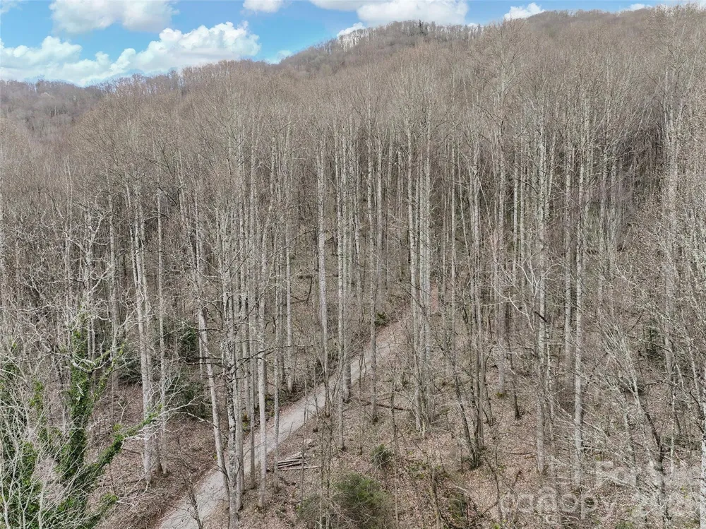 23 Forbidden Cove Waynesville, NC 28785
