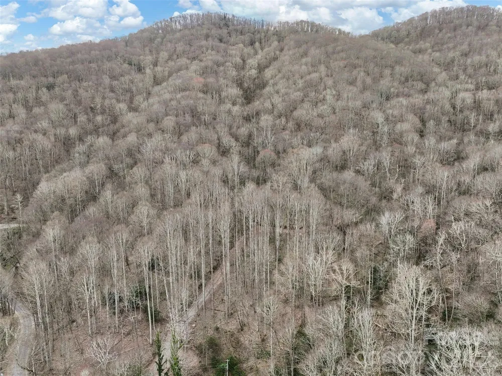 23 Forbidden Cove Waynesville, NC 28785