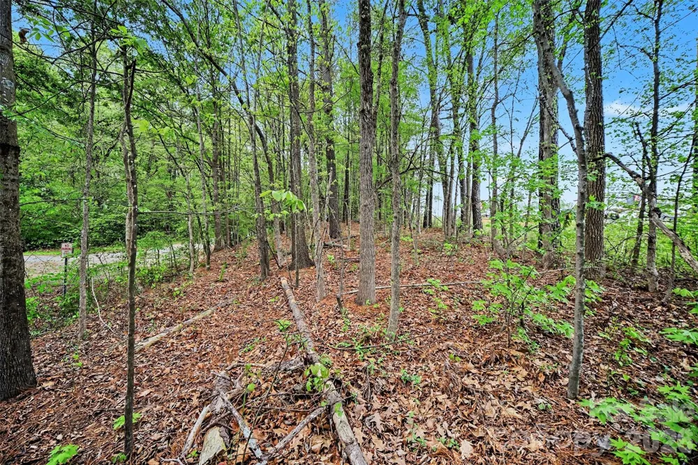 0 Leewood Drive #P7 Monroe, NC 28112