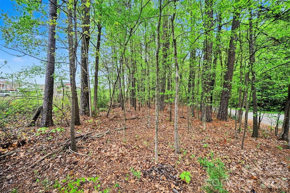 0 Leewood Drive #P7 Monroe, NC 28112