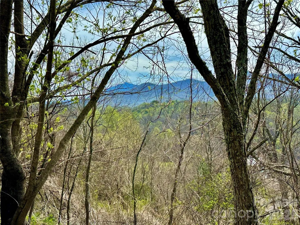000 Sunset Mountain Road #12 Bakersville, NC 28705
