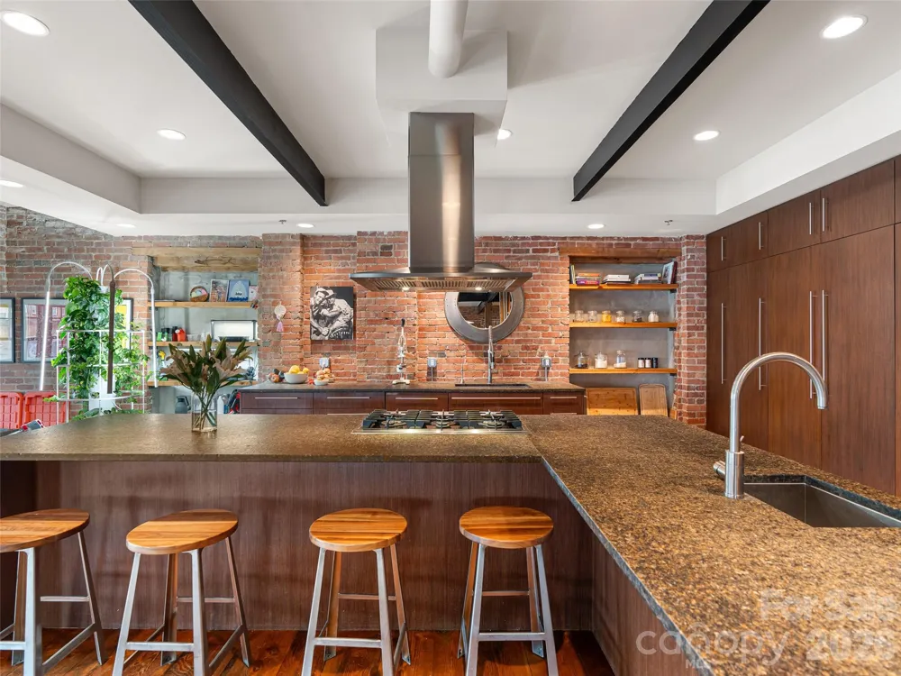 23 Rankin Avenue #302 Asheville, NC 28801