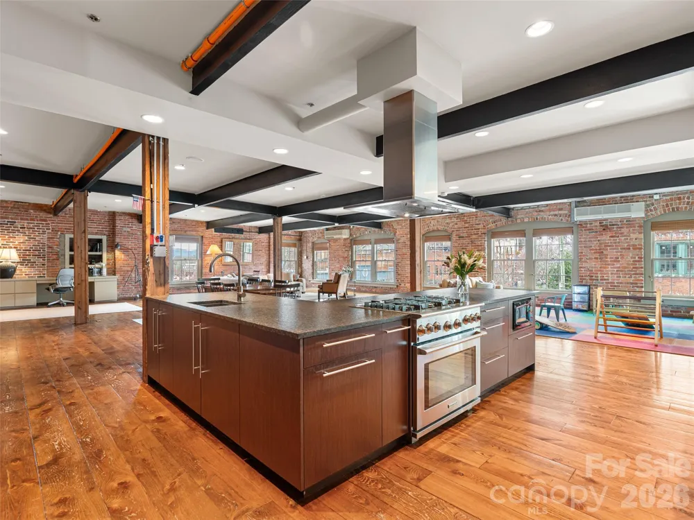 23 Rankin Avenue #302 Asheville, NC 28801