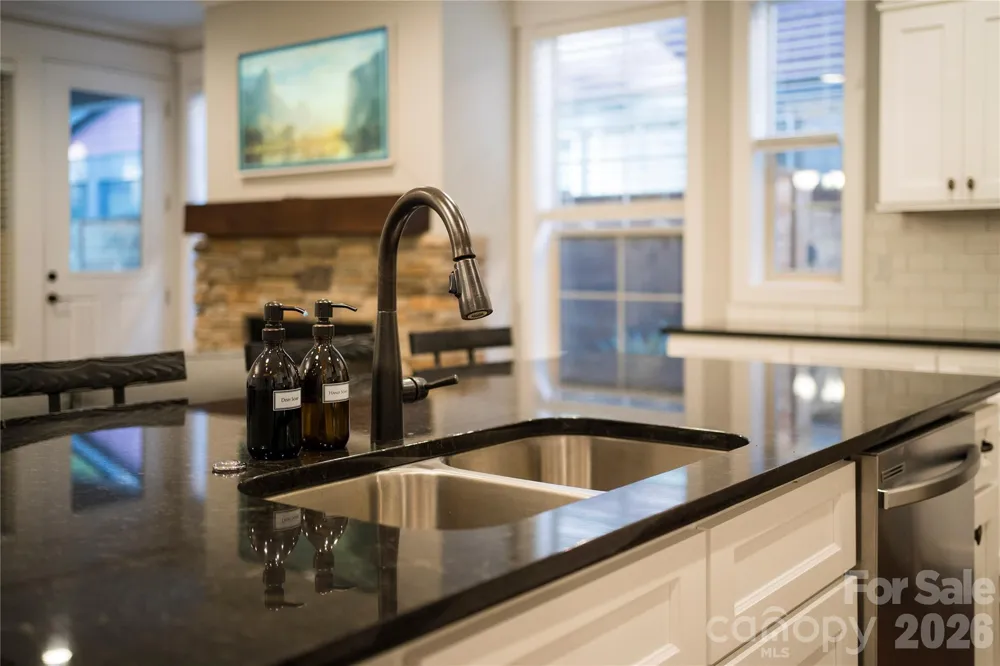 509 Sweet Birch Park Lane Black Mountain, NC 28711