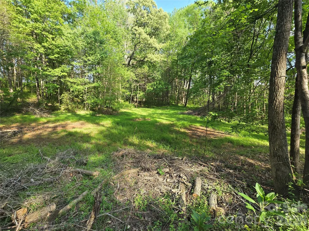 0 NC 801 Highway Mt Ulla, NC 28125