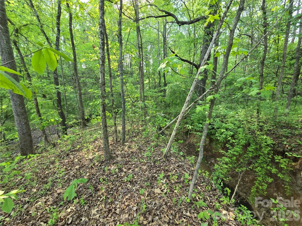 0 NC 801 Highway Mt Ulla, NC 28125