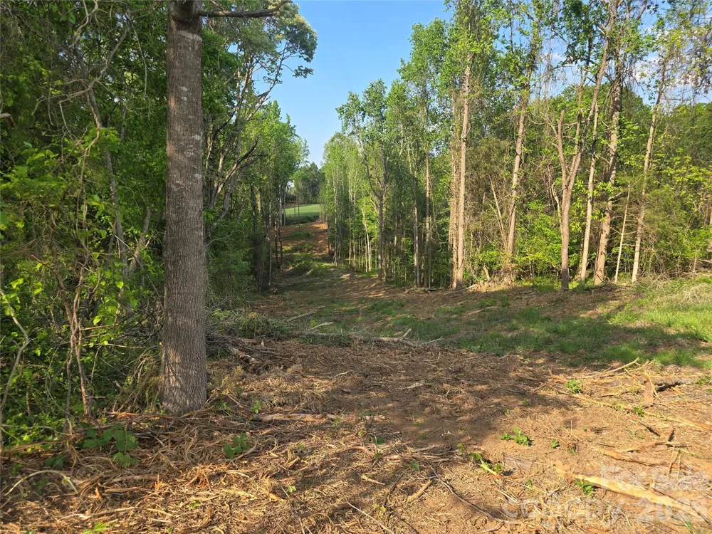0 NC 801 Highway Mt Ulla, NC 28125