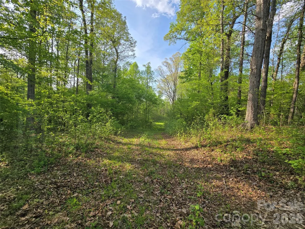 0 NC 801 Highway Mt Ulla, NC 28125