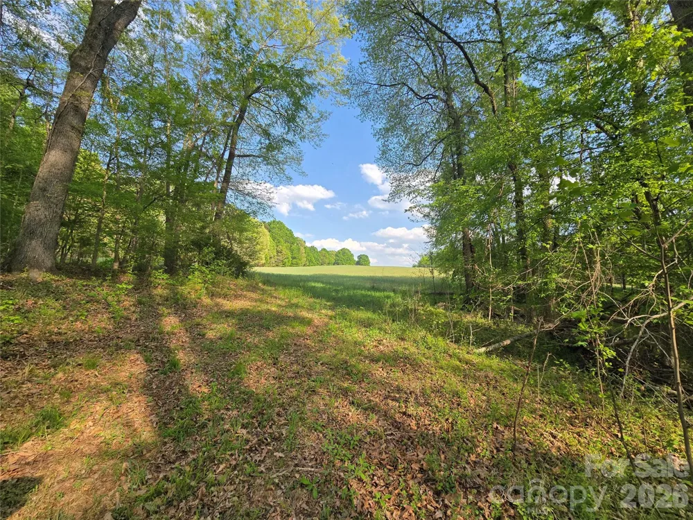 0 NC 801 Highway Mt Ulla, NC 28125