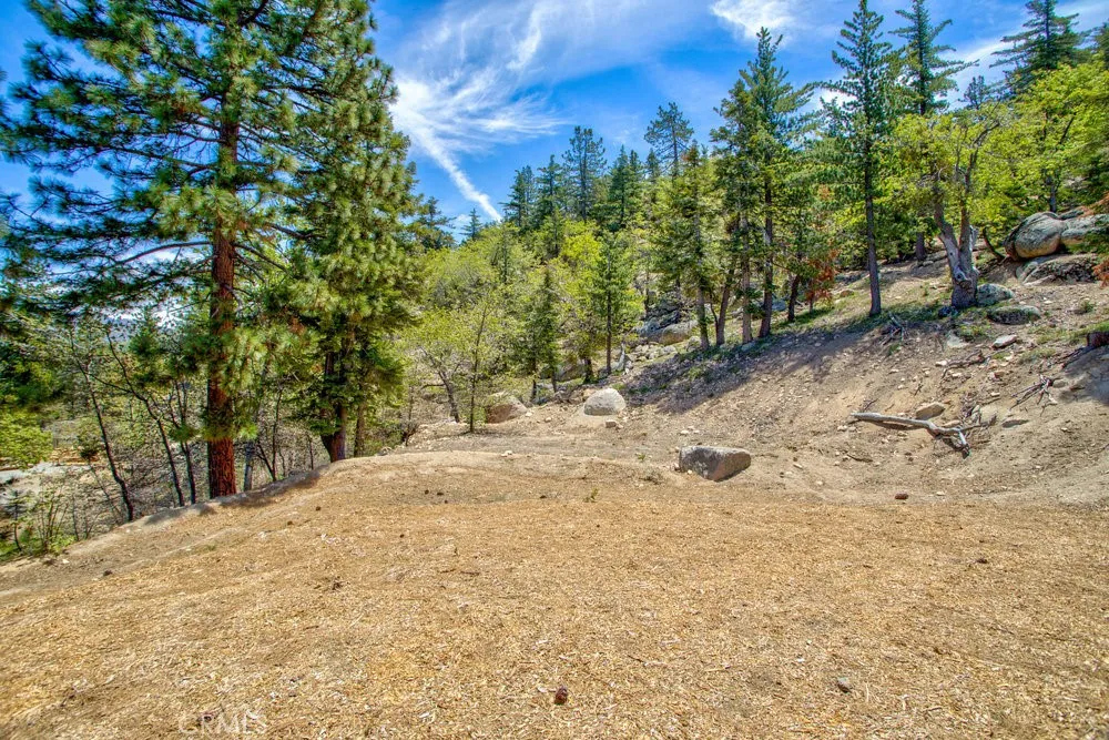 32557 Pine Cone Ct A&B Running Springs, CA 92382