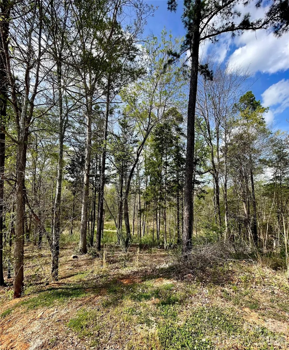 2409 Falling Leaf Court #69 Rock Hill, SC 29732