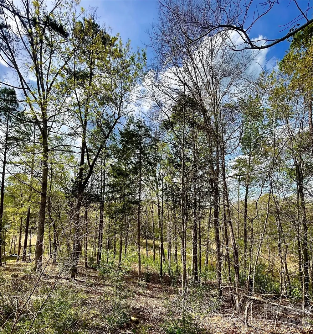 2409 Falling Leaf Court #69 Rock Hill, SC 29732