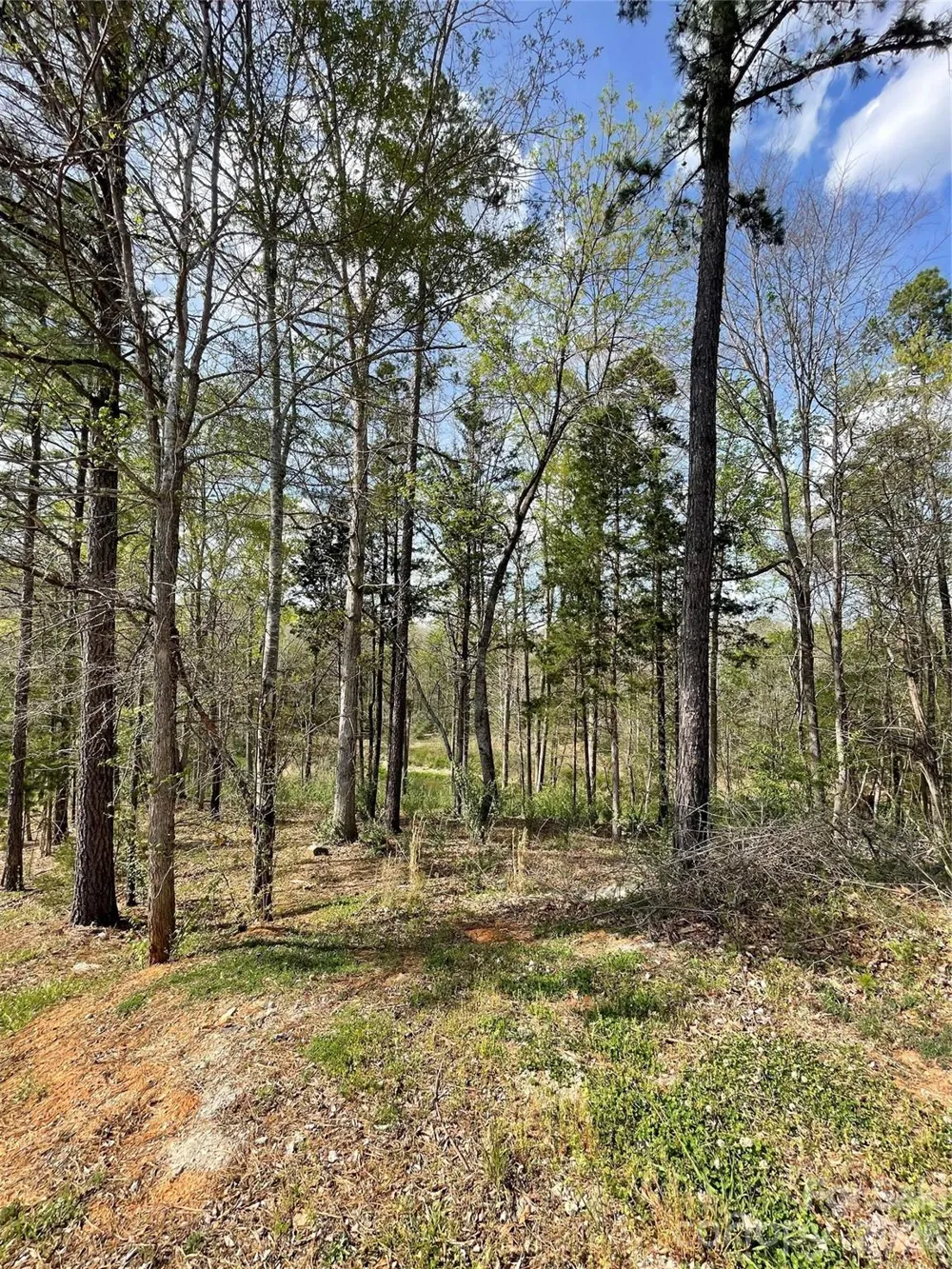 2409 Falling Leaf Court #69 Rock Hill, SC 29732