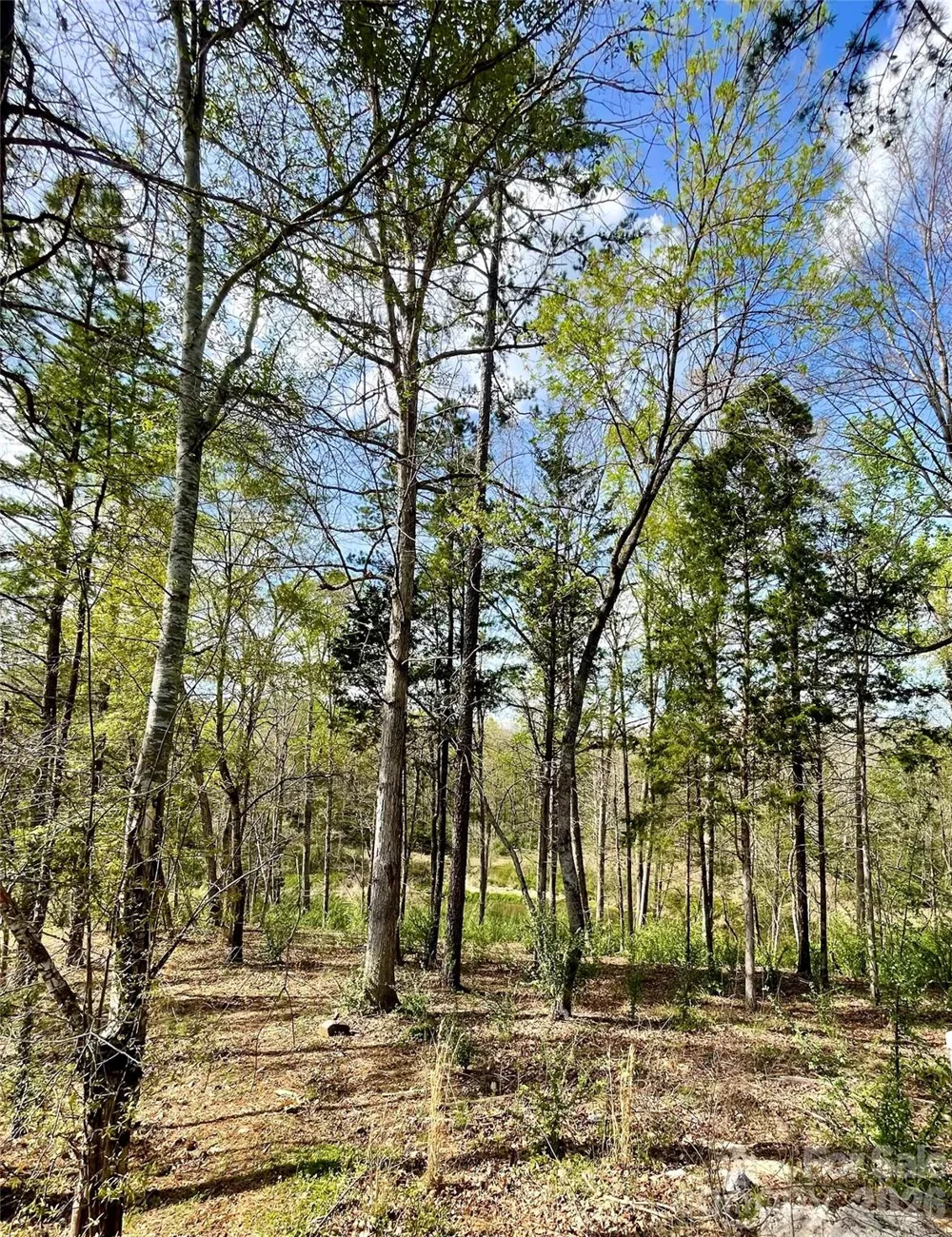 2409 Falling Leaf Court #69 Rock Hill, SC 29732