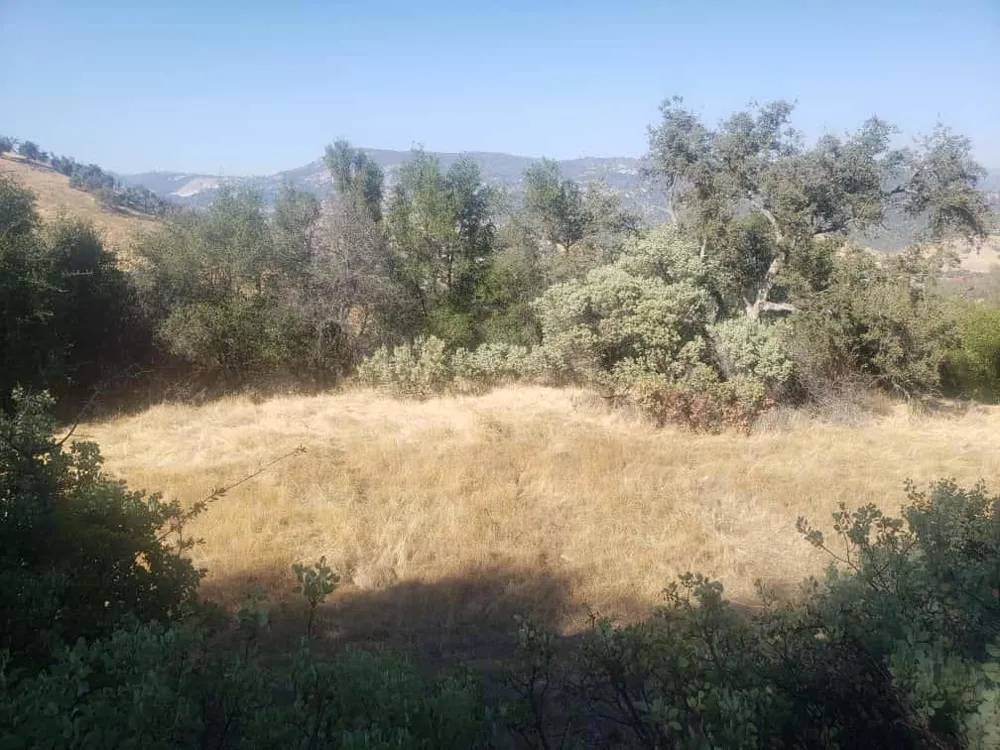 29763 Stoney Creek Tollhouse, CA 93667