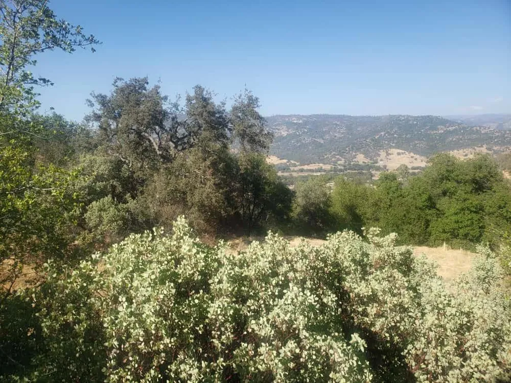29763 Stoney Creek Tollhouse, CA 93667