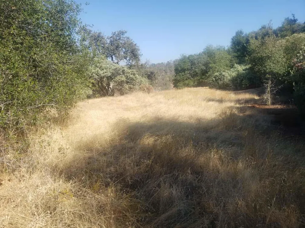 29763 Stoney Creek Tollhouse, CA 93667