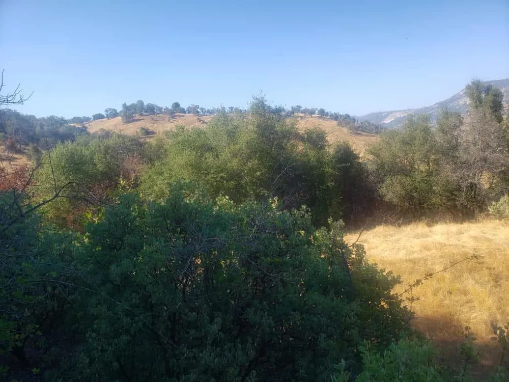 29763 Stoney Creek Tollhouse, CA 93667