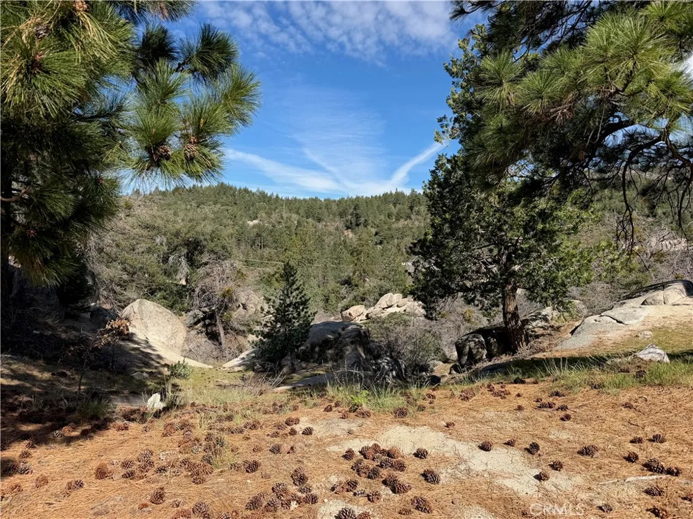 33363 Forrest Running Springs, CA 92382