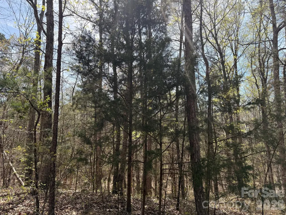 6223 Twining Vine Court Kannapolis, NC 28081