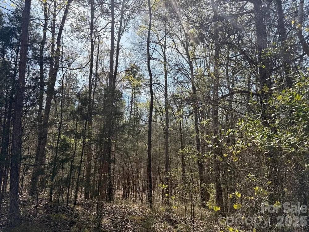 6223 Twining Vine Court Kannapolis, NC 28081