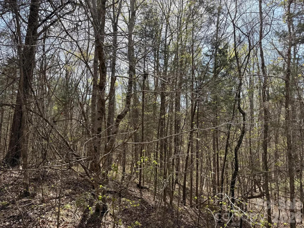 6223 Twining Vine Court Kannapolis, NC 28081