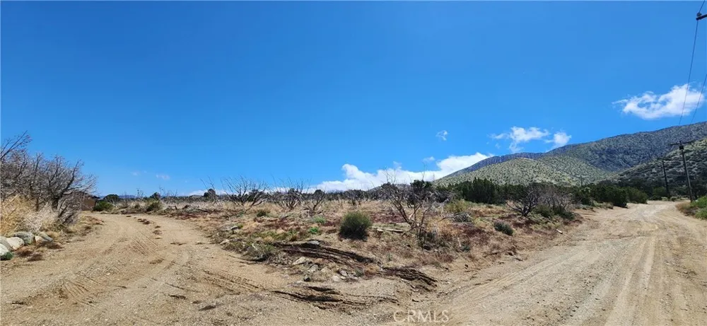 29500 106th Juniper Hills, CA 93543