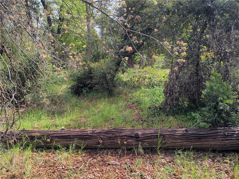 53309 Road 432 Bass Lake, CA 93604