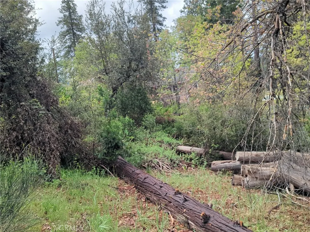 53309 Road 432 Bass Lake, CA 93604